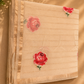 Champagne Blossom-Pure Chanderi saree