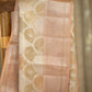 Golden Tissue Silk Saree with Pastel Rang Card Design and Peach Border