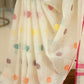 Pure Handloom Cotton Saree with Jamdhani Work in Off-White